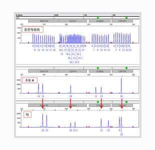 Estudios de ADN - Pruebas de ADN